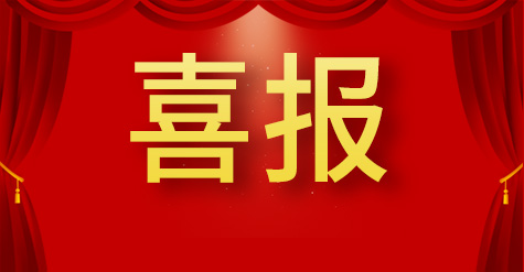 和普威視榮獲“山東省制造業(yè)單項(xiàng)冠軍企業(yè)”稱(chēng)號(hào)